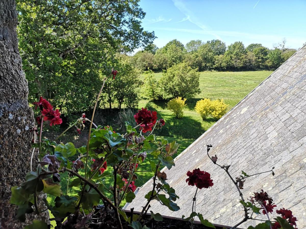 Manoir De La Foulerie Bed and Breakfast Ancteville Buitenkant foto